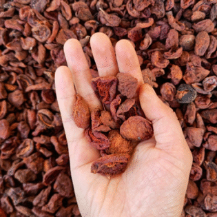 Sun-Dried Wild Apricots